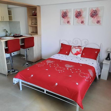 Studio Adela Apartment Iasi Bagian luar foto