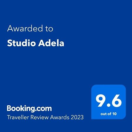 Studio Adela Apartment Iasi Bagian luar foto