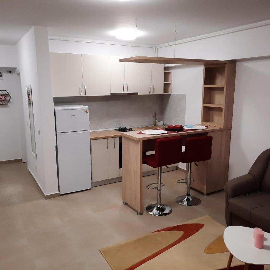 Studio Adela Apartment Iasi Bagian luar foto