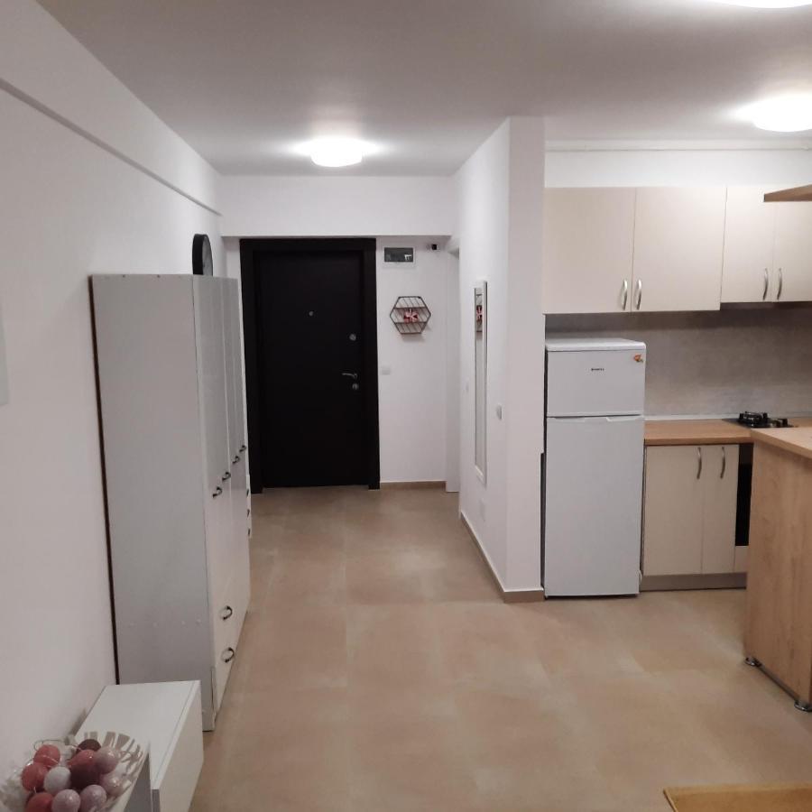 Studio Adela Apartment Iasi Bagian luar foto