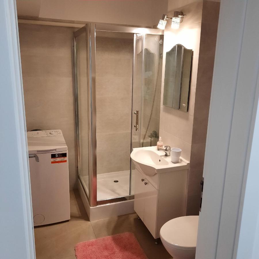 Studio Adela Apartment Iasi Bagian luar foto