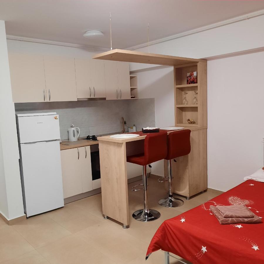 Studio Adela Apartment Iasi Bagian luar foto