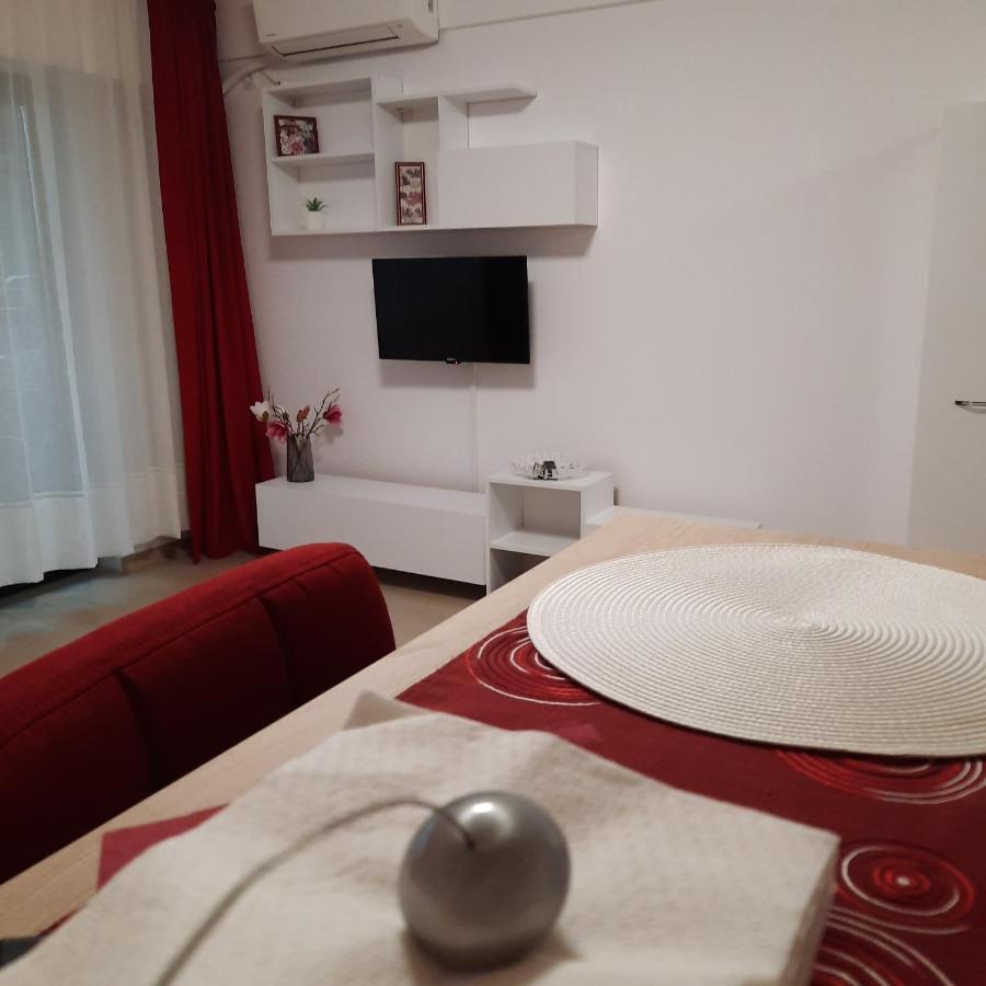 Studio Adela Apartment Iasi Bagian luar foto